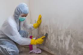 Best Commercial Mold Inspection  in Belmont, MS